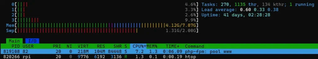 Перевірка використання оперативної пам'яті та swap через утиліту htop