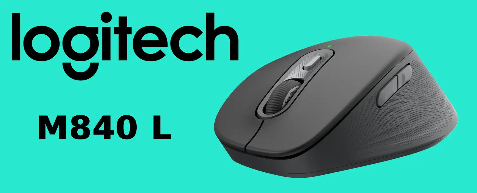 Logitech Signature Comfort M840 L Graphite Review