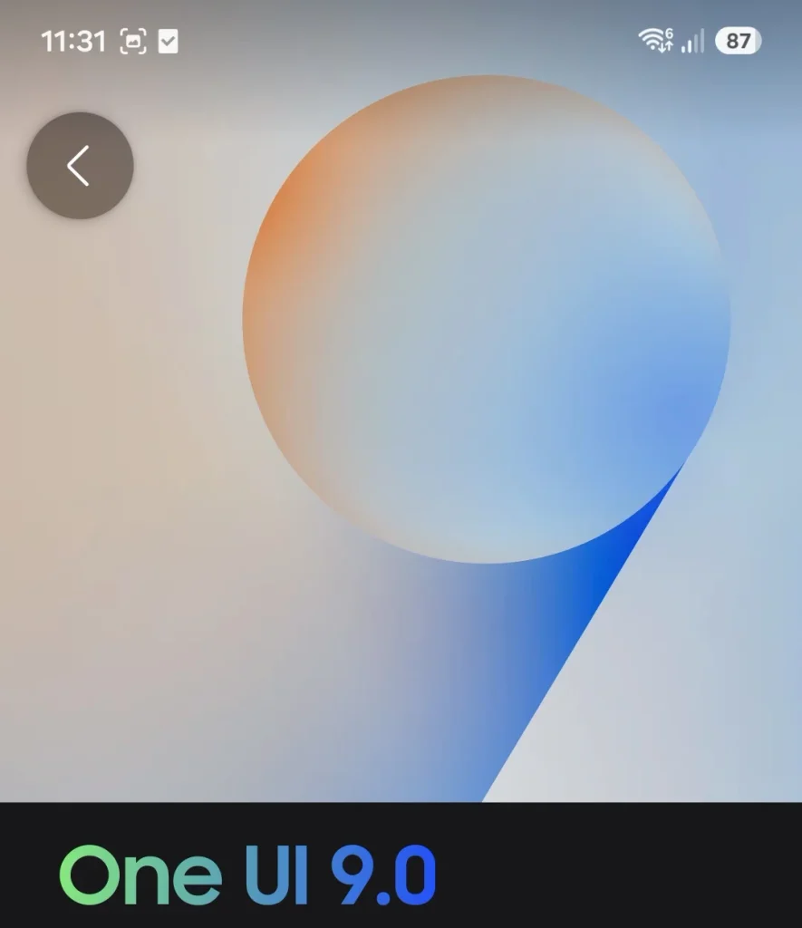 Samsung Galaxy S24 до One UI 9.0